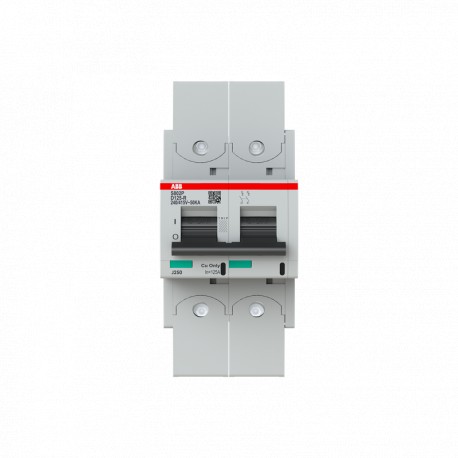 2CCG001300R0001 ABB Int. S802P-D125-R 2P 125A D 50kA
