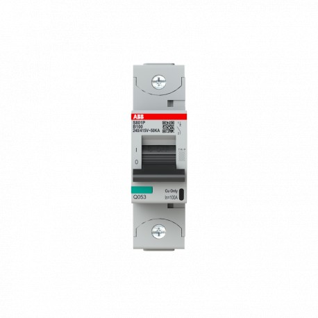 2CCG001215R0001 ABB Int. S801P-B100 1P 100A B 50kA