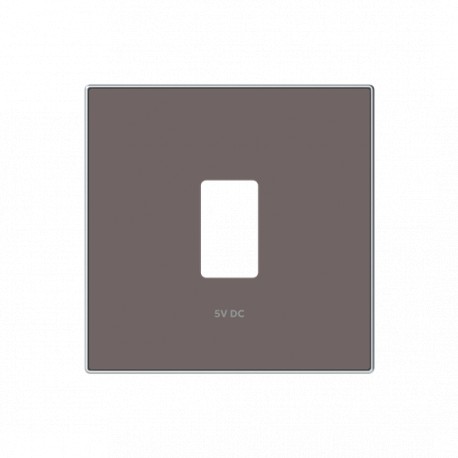 2CLA858520A6301 8585.2 TP NIESSEN Couvercle de chargeur USB unique TP