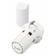 013G5012 DANFOSS HEATING RAW 5012, FF