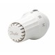 013G5054 DANFOSS HEATING RAE 5054 IF