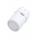 013G6070 DANFOSS HEATING RAX, RAL 9016