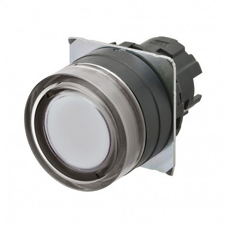 A22NZ-BGM-TWA A2270046A 663373 OMRON Pulsa.22mm, Plastic, PROTECTED, MOMENTARY, Transp.WHITE, LIGHTING