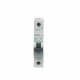 667134 4TQA667134R0000 AEG EP60 1P 32A B