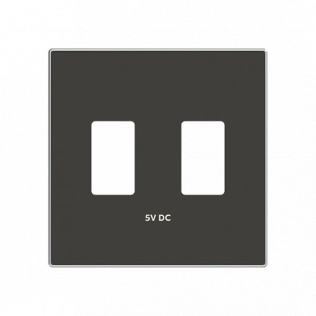 2CLA858530A1501 8585.3 NS NIESSEN Deckel-USB-ladegerät-doppel NS