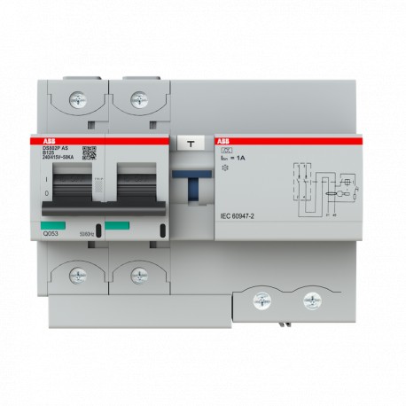2CCG001322R0001 ABB Int. Com. DS800 2p B125 AS 50kA 1A