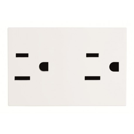 2CLA232800N1101 N2328 BL NIESSEN Sockel Duplex 2P+T Nema BL