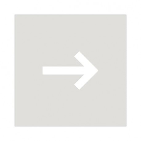 2CLA858117A1001 8581.17 NIESSEN Tapa señalizador flecha