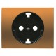 2CLA848890A1601 8488 NI NIESSEN Tapa enchufe Schuko c.especial