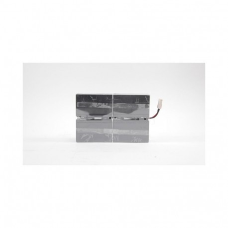 Easy Battery+ product N EB014SP EATON ELECTRIC Easy Battery+ prodotto N
