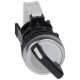 023730 LEGRAND SELECTOR 2P FIJO +1NA