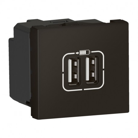 079194L LEGRAND MO-2USB A+A 2M 15W NM
