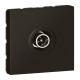 079182L LEGRAND MO-BASE TV EINFACH 2M NM