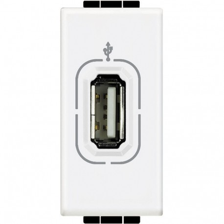 N4285 BTCINO LL-BASE DATOS USB 1M BLAN