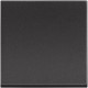 RG4005M2P BTCINO CL-PULS 1P 10A 2M DARK