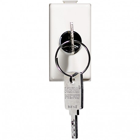 AM5007 BTCINO MX-INT LLAVE 2P 16A 1M BLAN