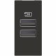 RG4191AA BTCINO CL-BASE USB A+A 3A/5V 1M FONCÉ