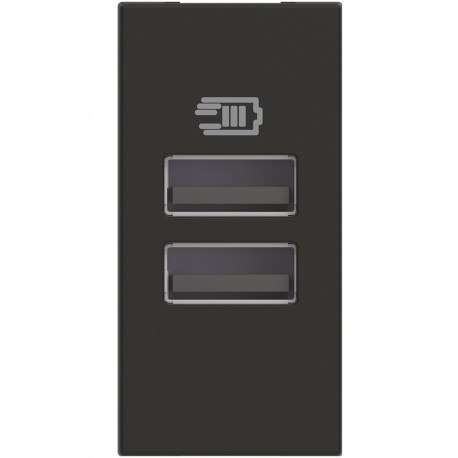 RG4191AA BTCINO CL-BASE USB A+A 3A/5V 1M DUNKEL