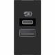 RG4191AC BTCINO CL-BASE USB A+C 3A/5V 1M FONCÉ