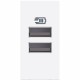 RW4191AA BTCINO CL-BASE USB A + A 3A / 5V 1M BLAN