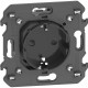 KG4141AC BTCINO LNwN-BASE 2P+T DUNKEL