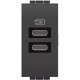 L4191CC BTCINO LL-BASE USB C+C 3A/5V 1M ANTR