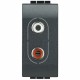 L4281 BTCINO LL-BASE AUDIO-RCAX2 1M ANTR