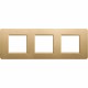 AM4802/3GL BTCINO MX-PLAQUE DE 2X3M) OR