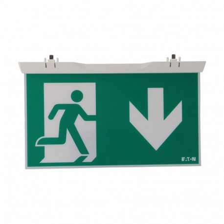 ESP-IDD O-ESP-IDD EATON ELECTRIC Veils Pictogram ISO down/down 30m