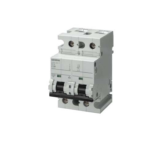 5SP5280-7CC SIEMENS Disjoncteur modulaire 440V CC 10kA, 2 points, C, 80A