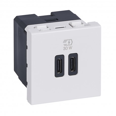 077631L LEGRAND MO-2USB C+C 2M 30W BL