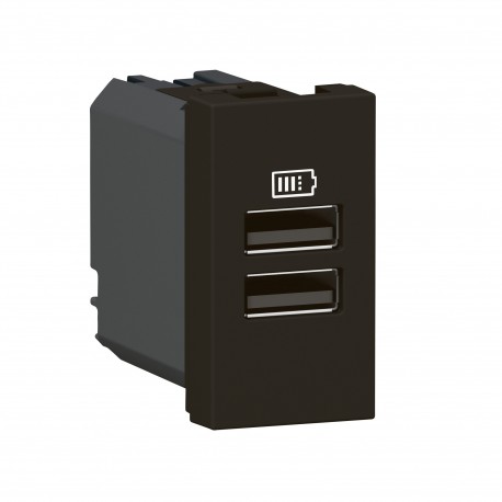077662L LEGRAND MO-2USB A+A 1M 15W NM