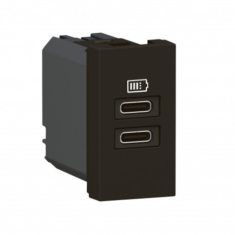 077682L LEGRAND MO-2USB C+C 1 м 15 Вт NM
