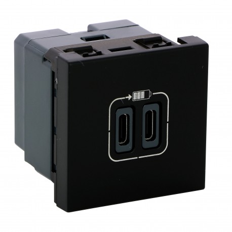 079190L LEGRAND MO-2USB C+C 2M 15W NM