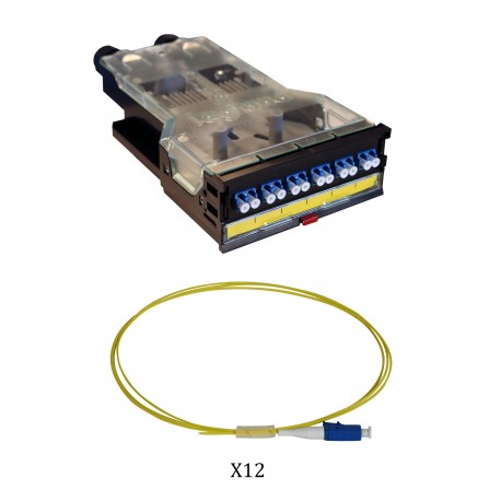 032187 LEGRAND CASSETTE LCS LC DUPLEX 12F SM
