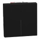 YD4001M2A BTCINO LW-INT IL BASC 1P 10AX 2M DK