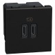 YD4286C2 BTCINO LW-BASE USB C+C 3A 15W 2M DK