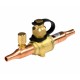 009L8050 DANFOSS REFRIGERATION GBC 6s Válvula de Esfera Cap Strap M/30