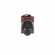 1SFA184720R9006 ABB JOYSTICK P9MMN4F
