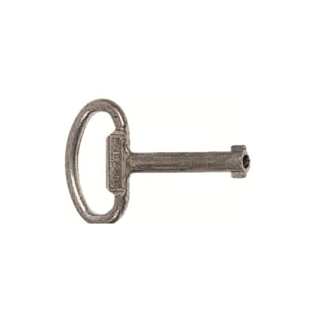 2CPX060661R9999 ZH161 ABB CLÉ DE 5MM DE DEUX FAÇON