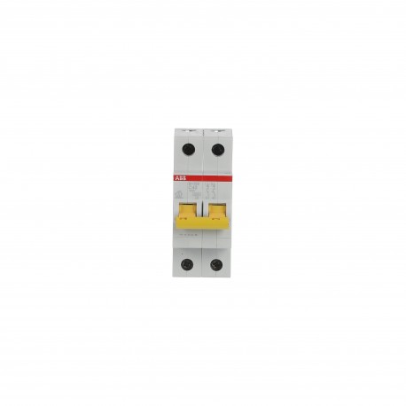 2CDS212066R0404 ABB Int.aut. SV202-C40 2p 40A C 6kA