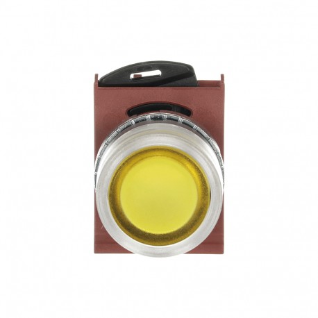 1SFA184493R9103 ABB PUSHBUTTON P9MPLGGD