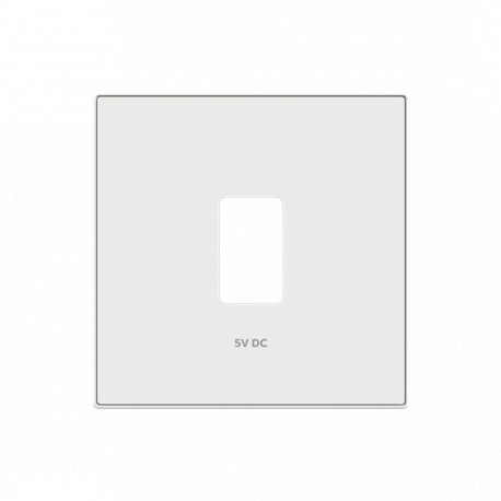 2CLA858520A4101 8585.2 BB NIESSEN BB Одна крышка зарядного устройства USB