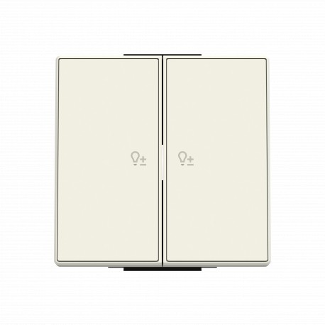 2CLA859623A5101 8596.23 BE NIESSEN Tecla Sky con símbolo reg. 2 can. БЫТЬ