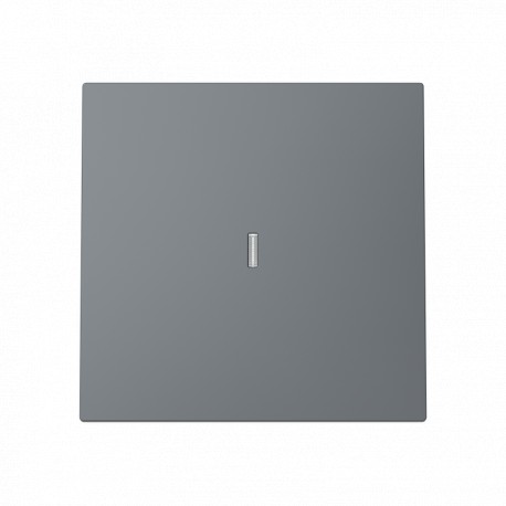 2CLA890139A1801 8901.39 GR NIESSEN Tecla interrupt con visor + marco 1V GR