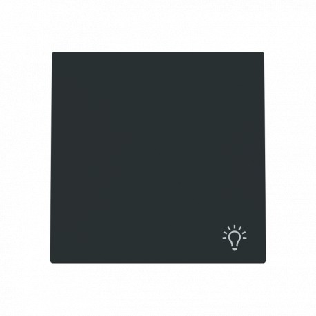 2CLA890429A1501 8904.29 NT NIESSEN Tasto simbolo luce + cornice 1V NT