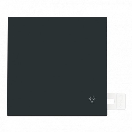 2CLA480420A1501 4804.2 NT NIESSEN Light symbol button IP44 NT