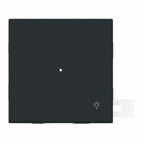 2CLA480440A1501 4804.4 NT NIESSEN Tecla de símbolo de luz e display NT