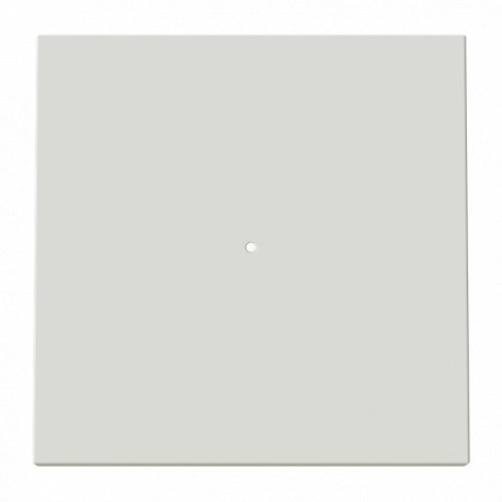2CLA880130A6201 8801.3 DN NIESSEN Switch key c/DN viewer