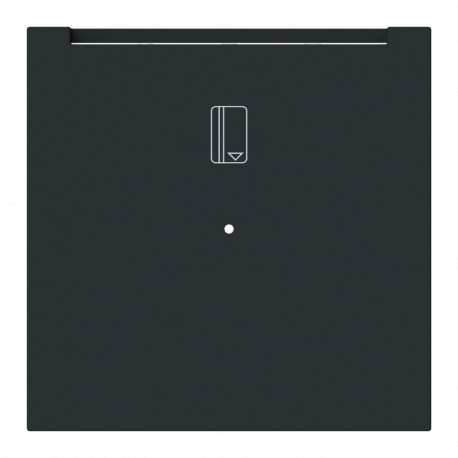 2CLA881400A1501 8814 NT NIESSEN Clé de commutation de carte NT